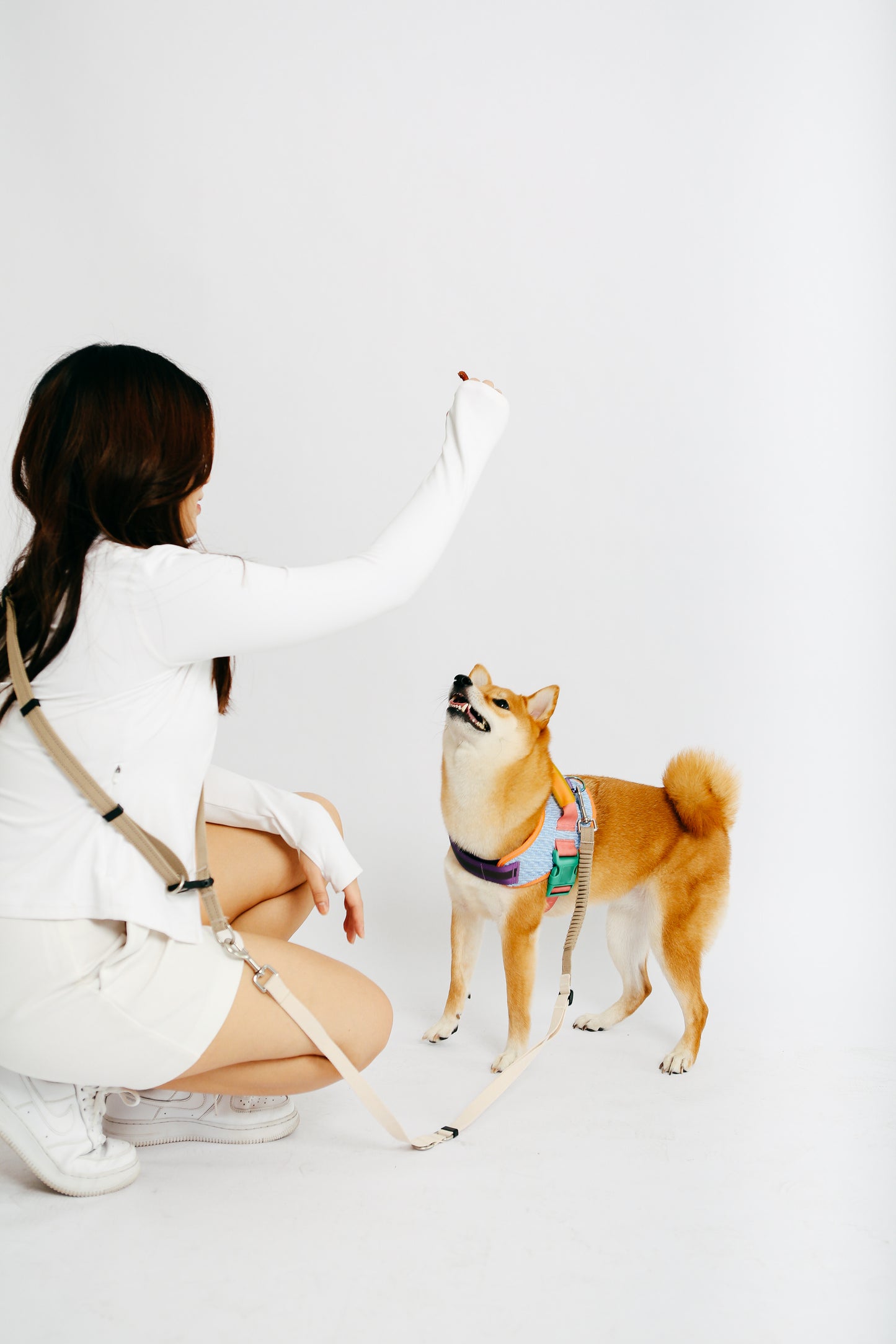 Set A - Wear It Waist & Crossbody Multi-Way Leash