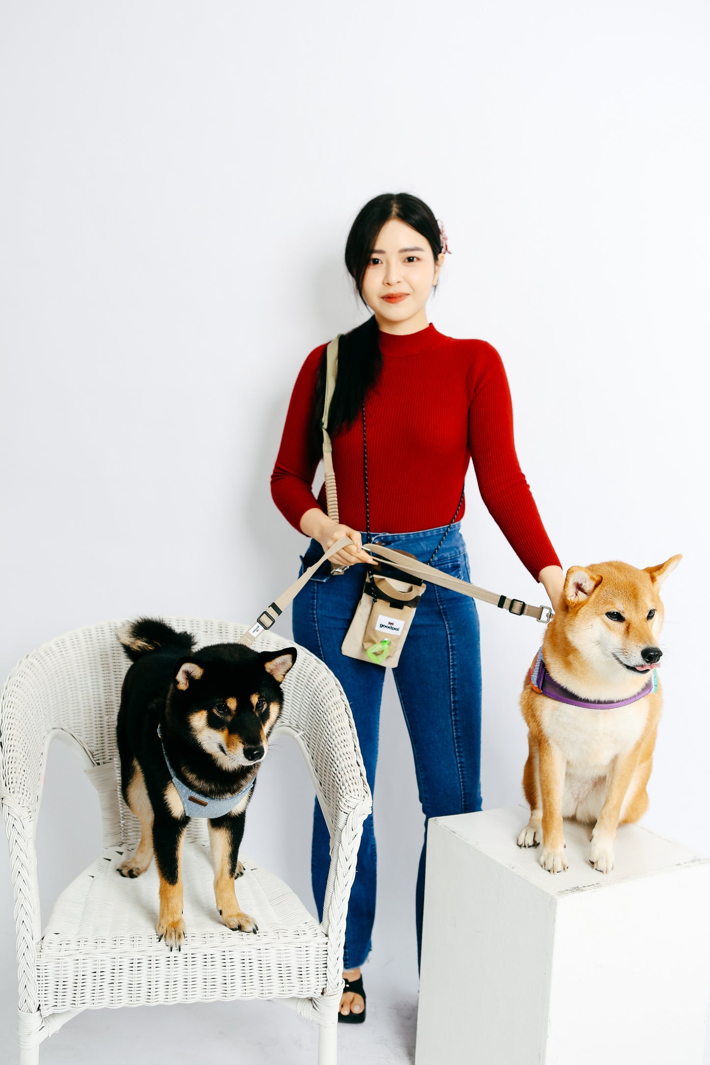 Set C - Hands-free Dual Dog Control Multi-Way Leash