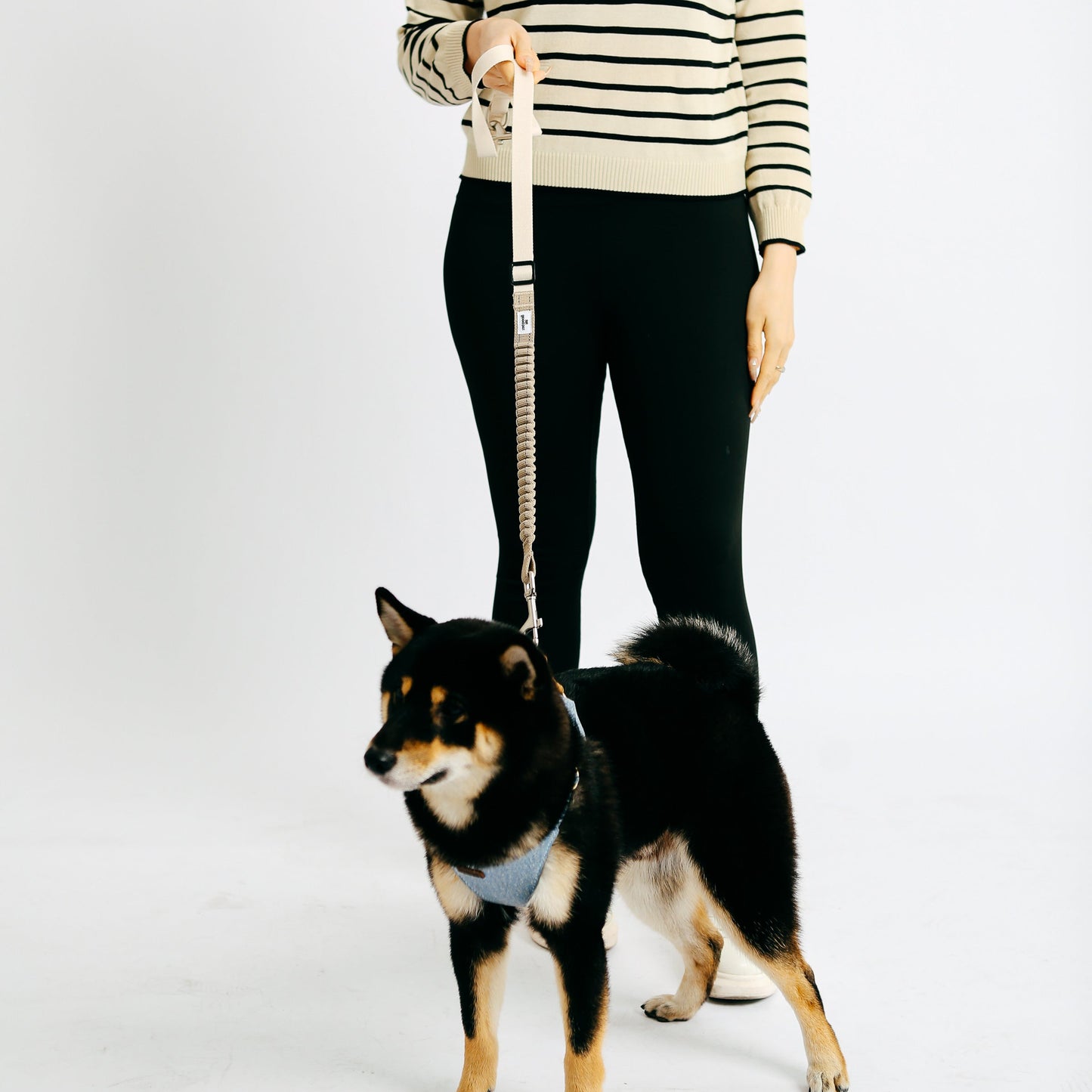Eco-friendly Shock-absorbent Pet Leash - in OAT color