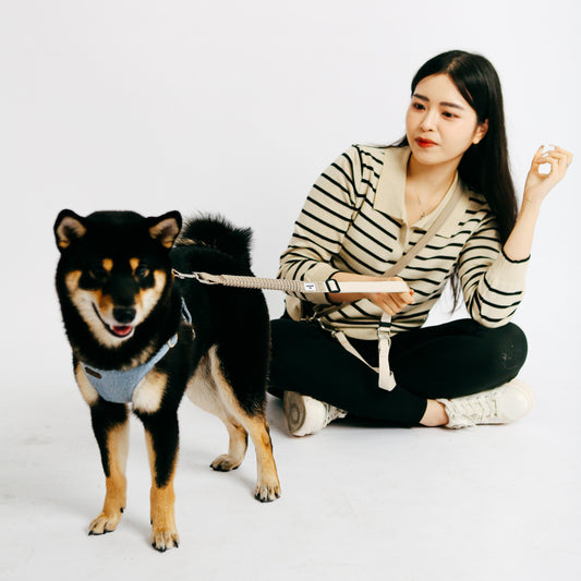 Eco-friendly Shock-absorbent Pet Leash - in OAT color