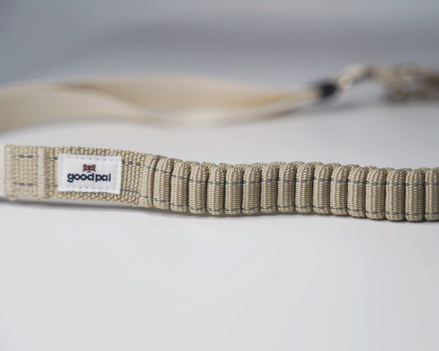 Eco-friendly Shock-absorbent Pet Leash - in OAT color