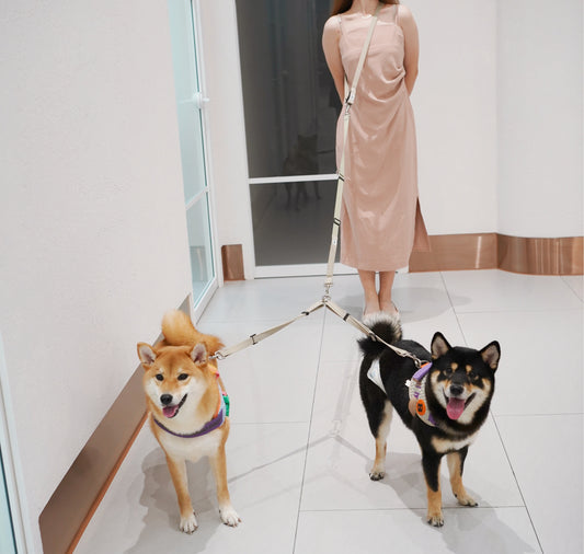 Set C - Hands-free Dual Dog Control Multi-Way Leash