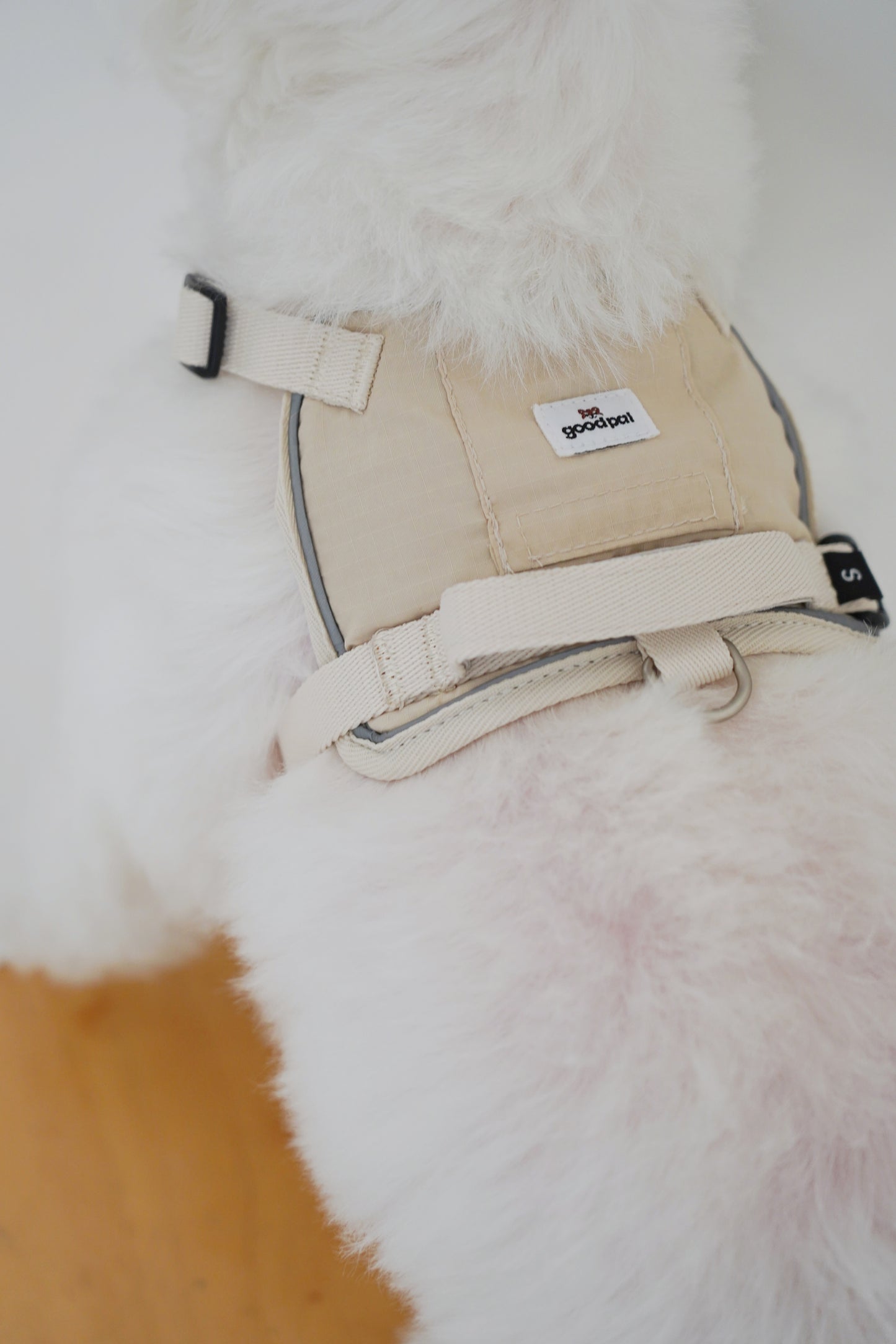Eco-friendly Harness in Oat for good pal