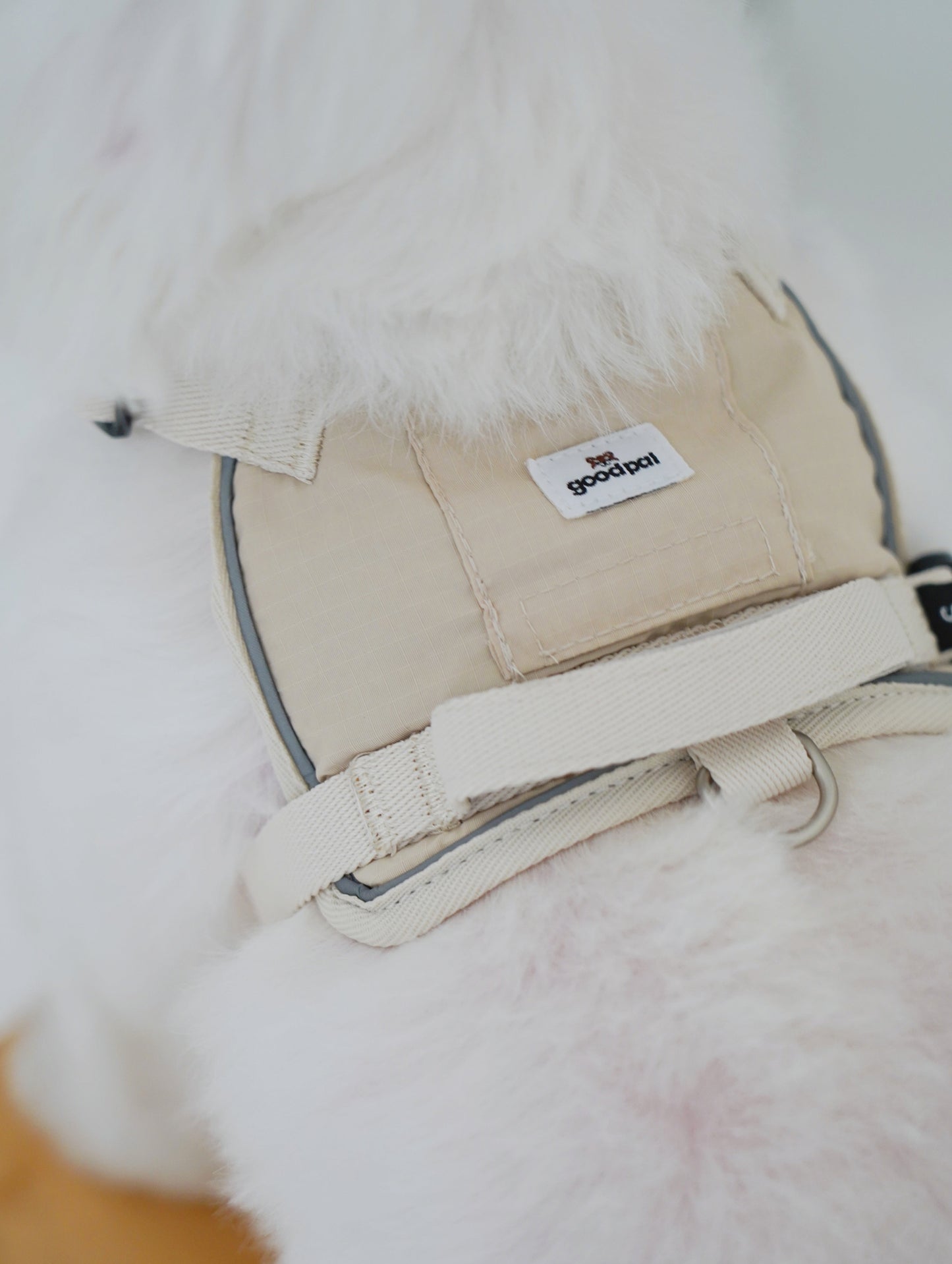 Close-up of a beige dog muzzle with a brand label on a white background