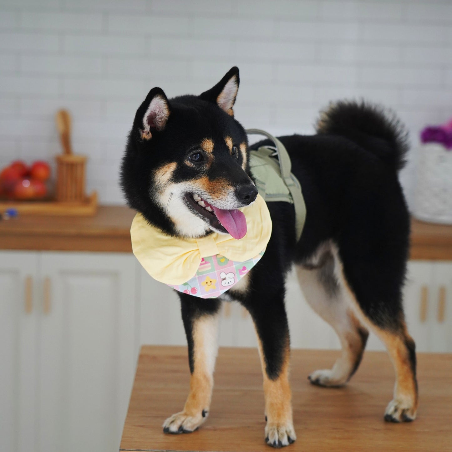 Dog wearing a green backpack and yellow bandana in a kitchen setting