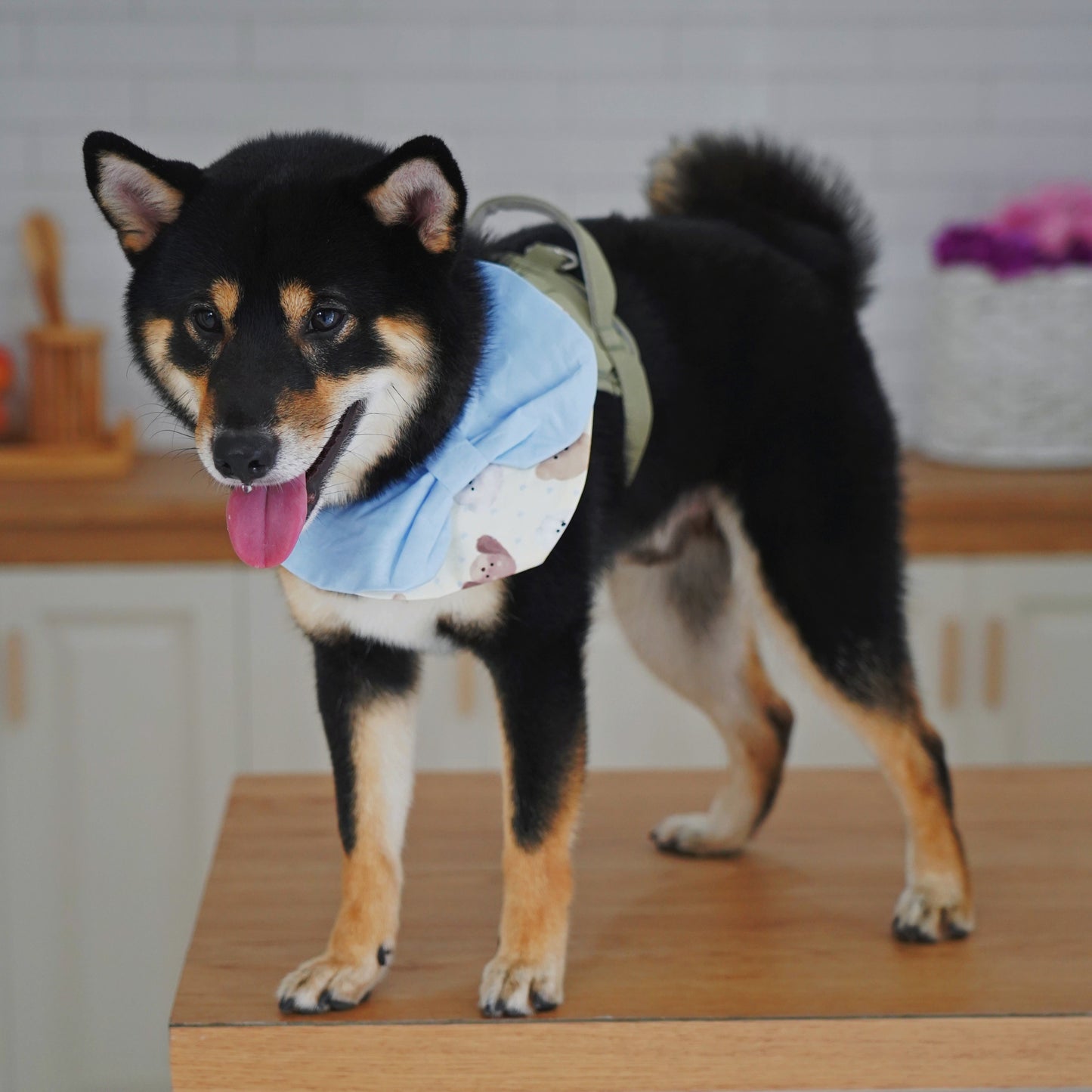 BOWTIE BANDANA BIB IN BLUE - Simple charm for the furbabies