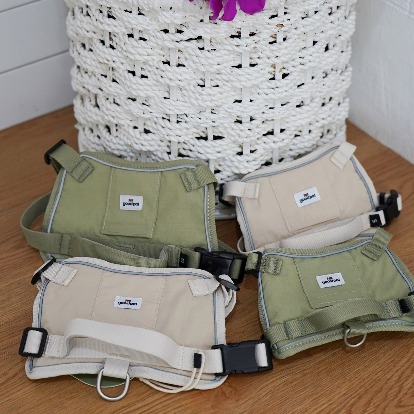 Four dog harnesses on a wooden floor with a white basket of purple and pink flowers in the background.