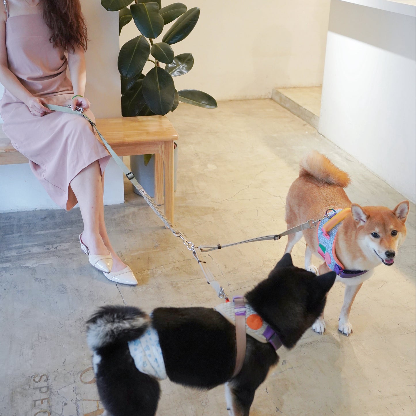 Set B - Dual Dog Control Multi-Way Leash