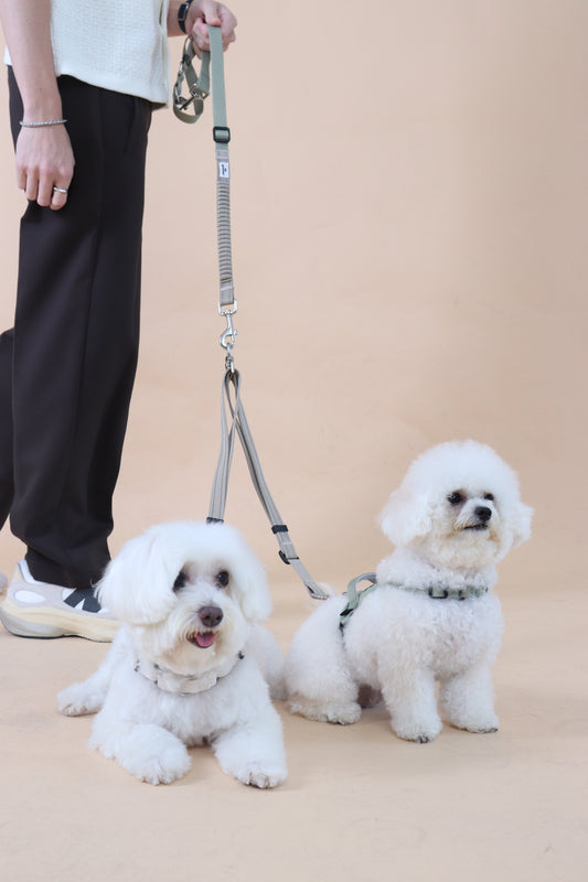 Eco-friendly Set B - Dual Dog Control Multi-Way Leash