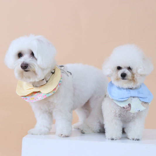 Two small dogs wearing colorful scarves on a beige background