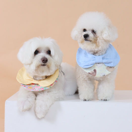 Two small dogs wearing colorful outfits on a plain background