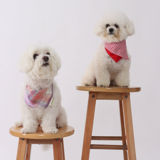 BANDANA BIB IN Violet - Pawshion for the furbabies