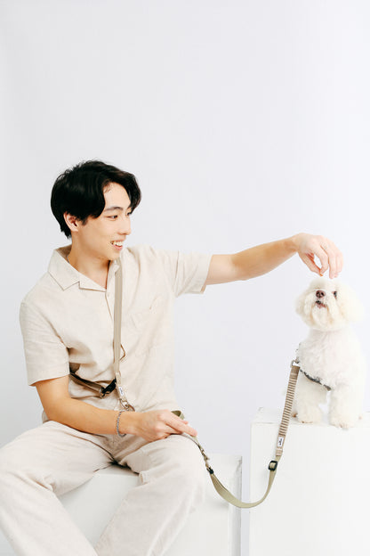 Set A - Wear It Waist & Crossbody Multi-Way Leash