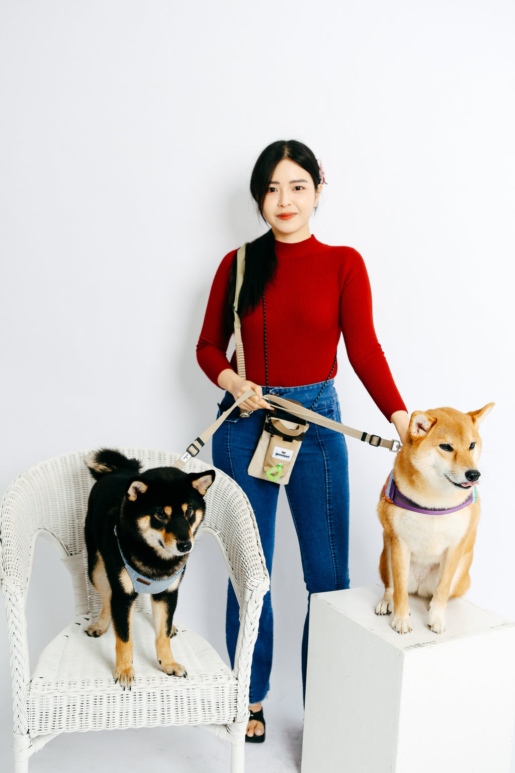 Eco-friendly Set C - Hands-free Dual Dog Control Multi-Way Leash