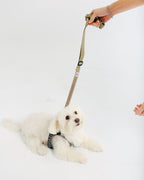 Eco-friendly Shock-absorbent Pet Leash in Oat and Olilve