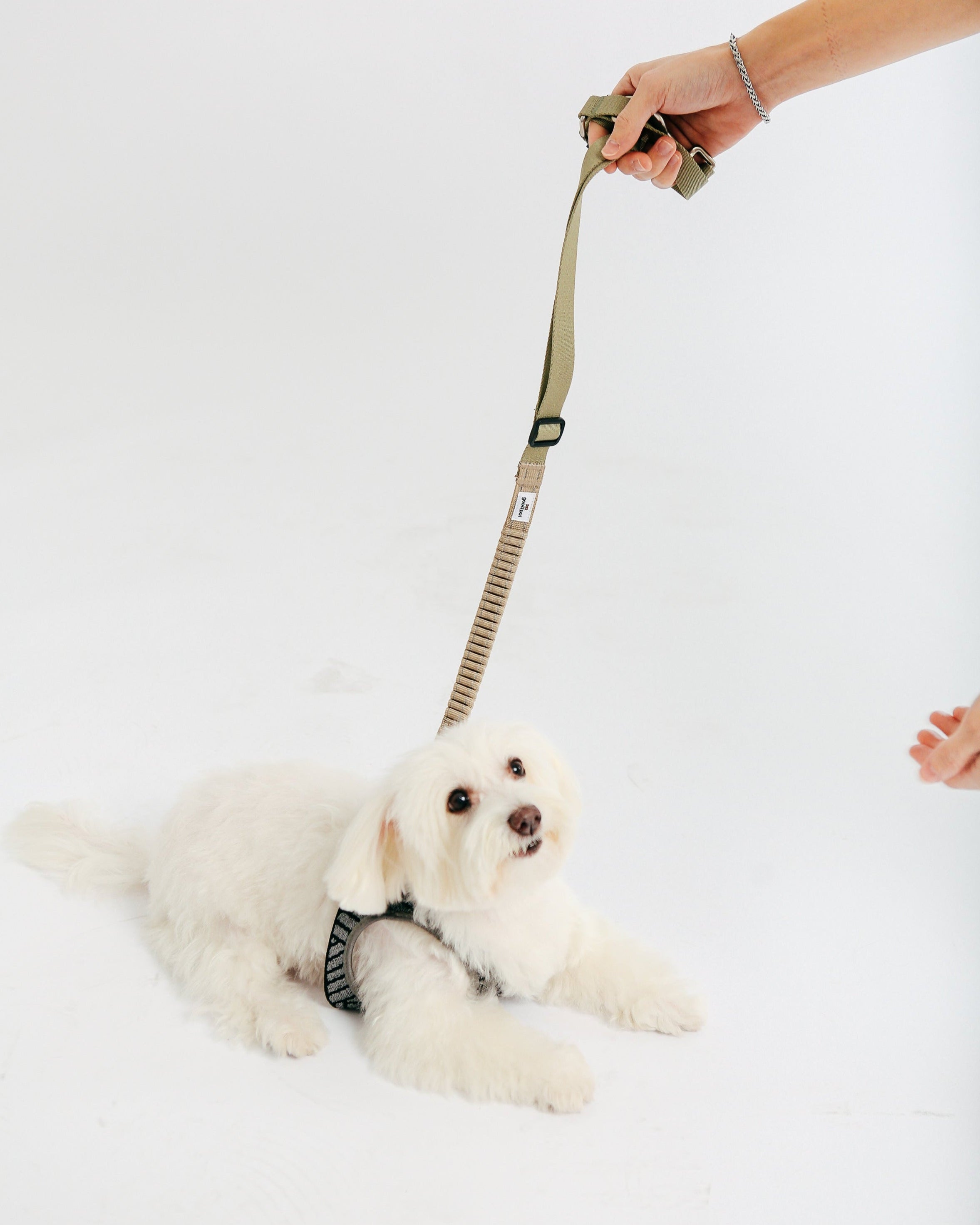 Eco-friendly Shock-absorbent Pet Leash in Oat and Olilve