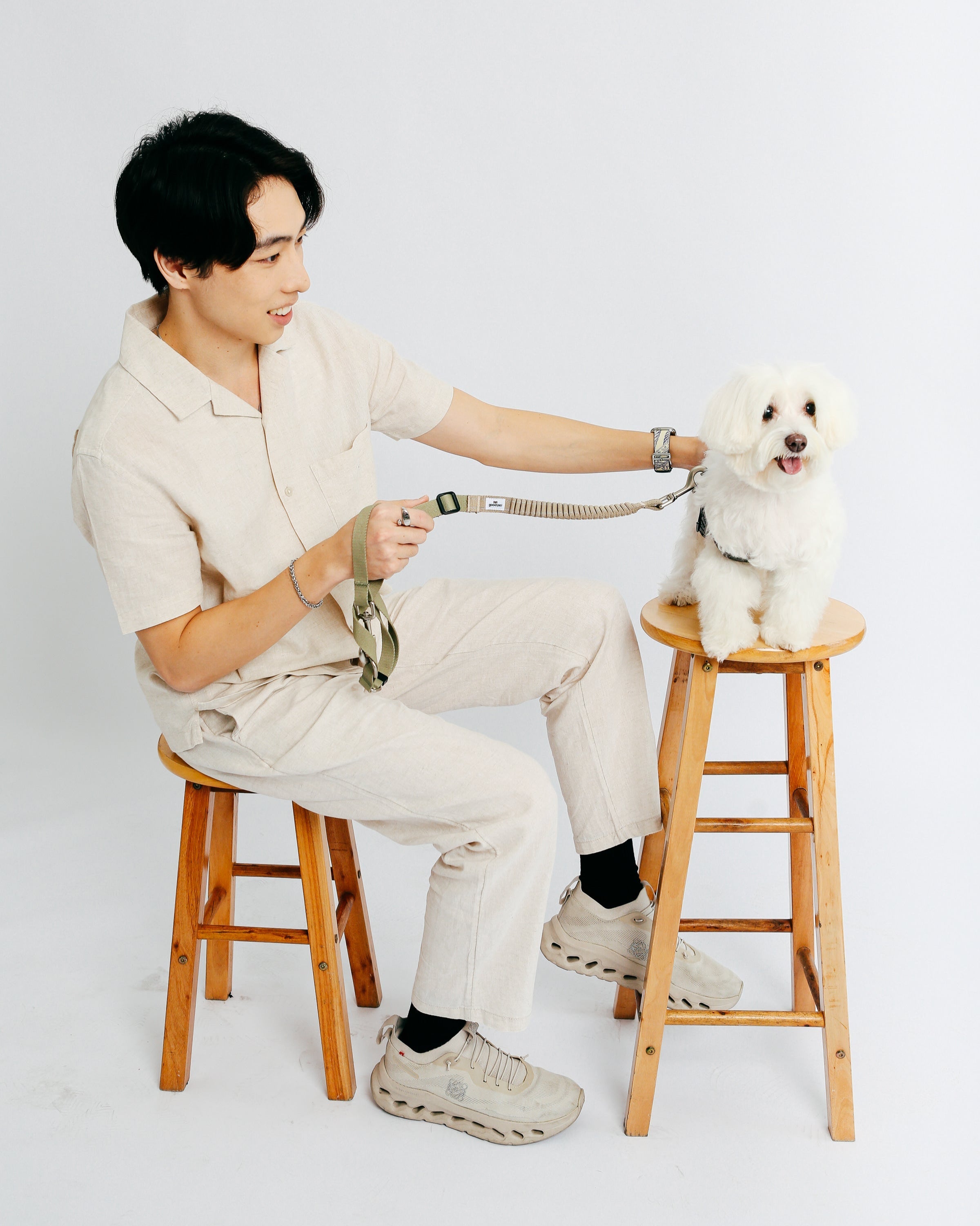 Eco-friendly Shock-absorbent Pet Leash in Oat and Olilve