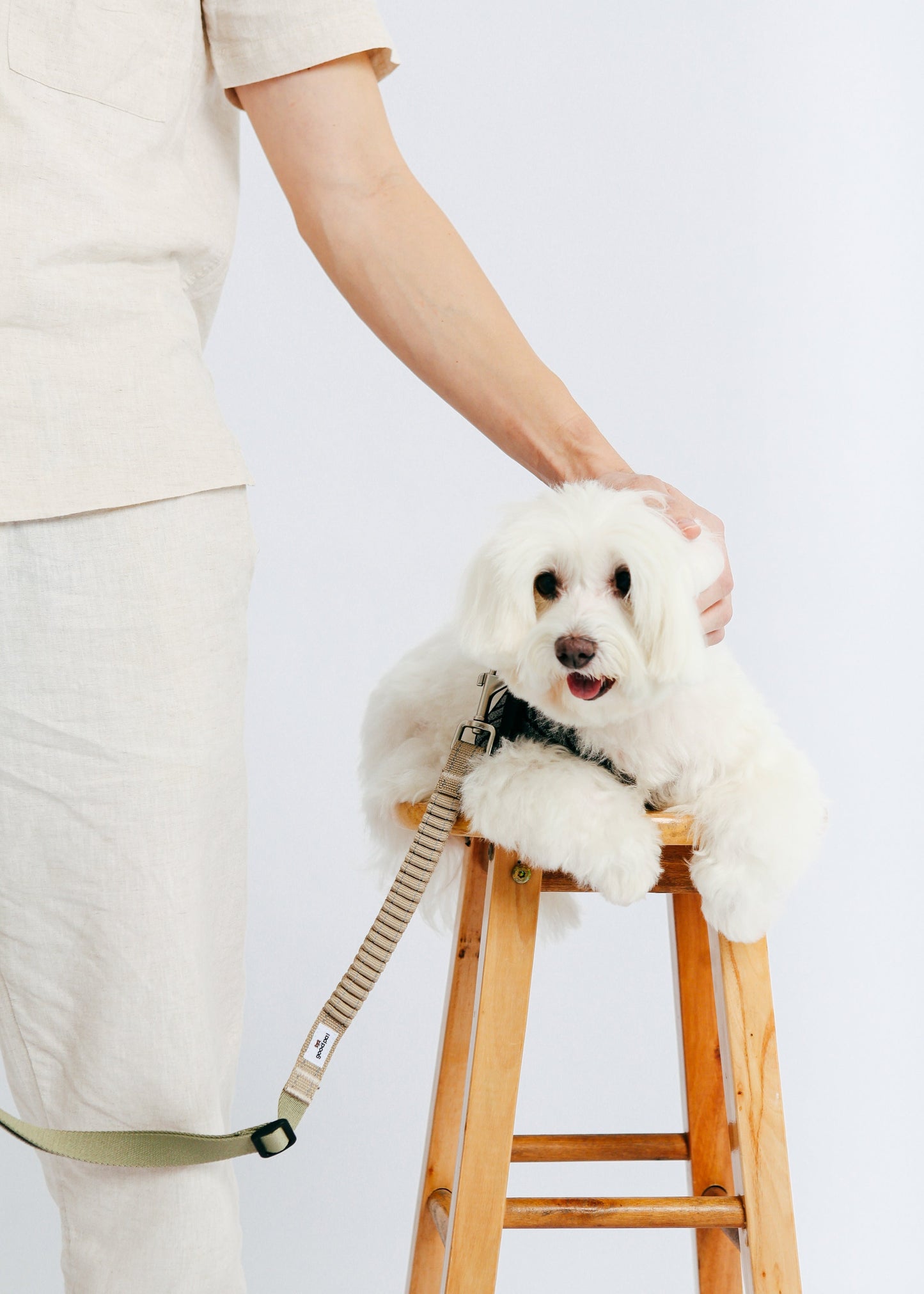 Eco-friendly Shock-absorbent Pet Leash in Oat and Olive