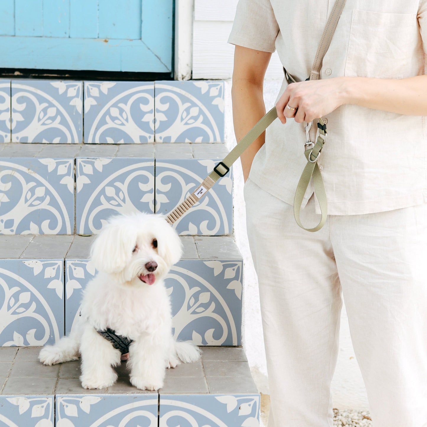 Eco-friendly Shock-absorbent Pet Leash in Oat and Olive