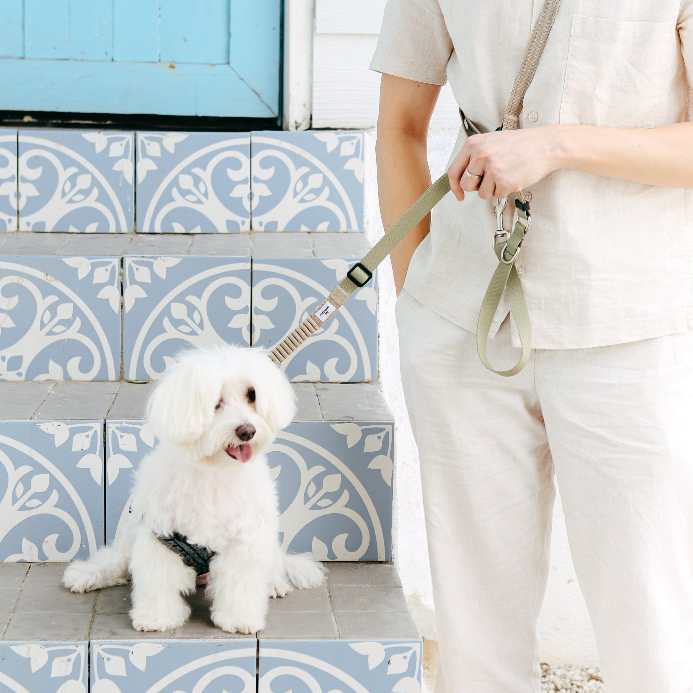 Eco-friendly Shock-absorbent Pet Leash in Oat and Olilve