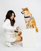 PET WALKING CROSSBODY BAG – Make dog walking a stylish journey