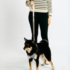 Eco-friendly Shock-absorbent Pet Leash in Oat and Olilve