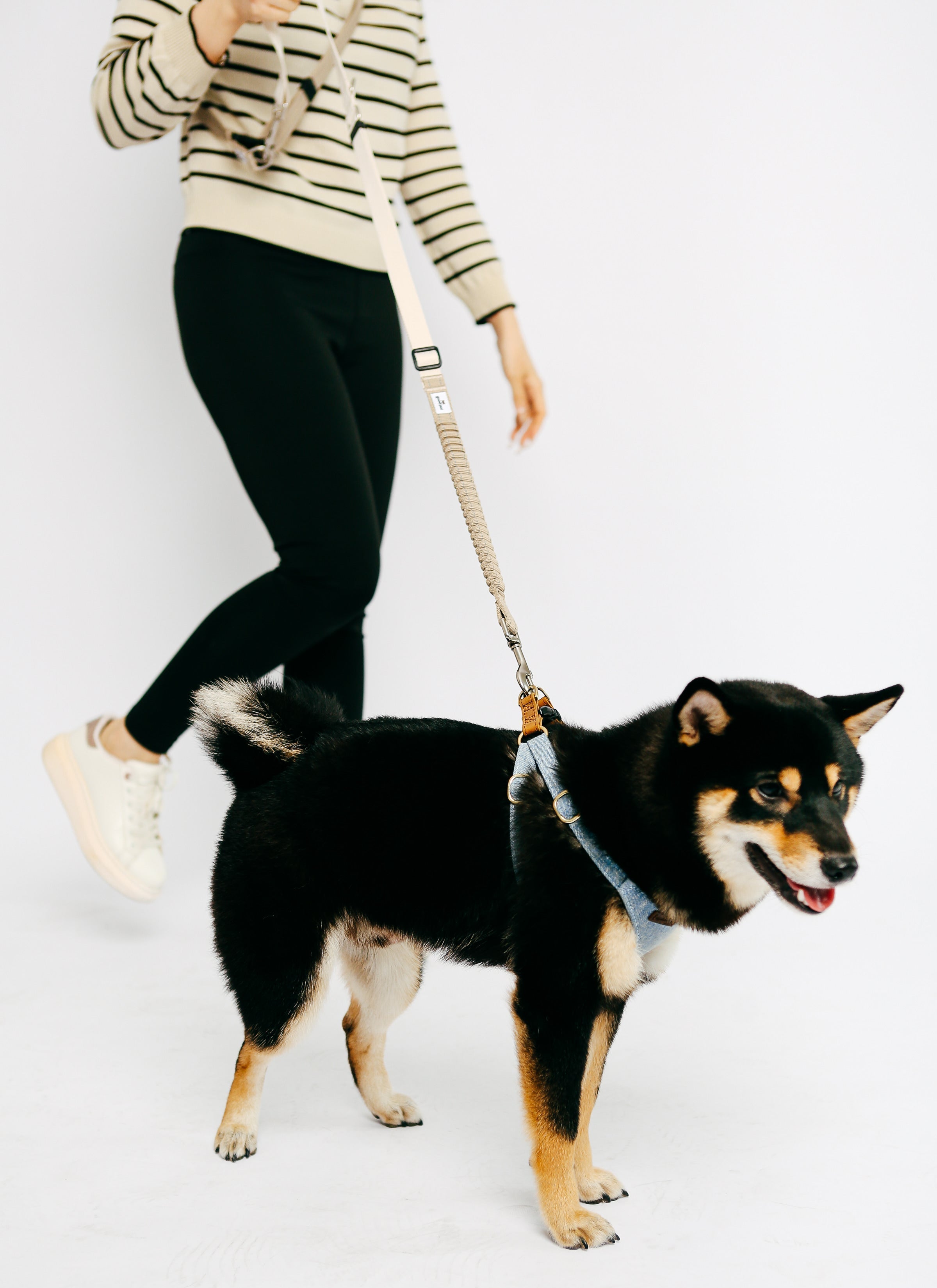 Eco-friendly Shock-absorbent Pet Leash in Oat and Olilve