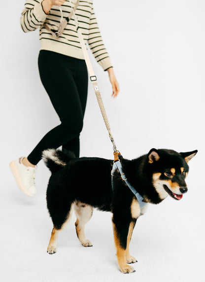 Eco-friendly Shock-absorbent Pet Leash - in OAT color
