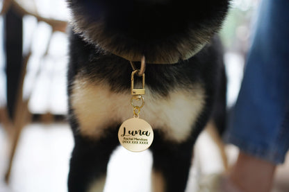 A Christmas Pawliday Gift Set [Goodpal × Pawtastic]