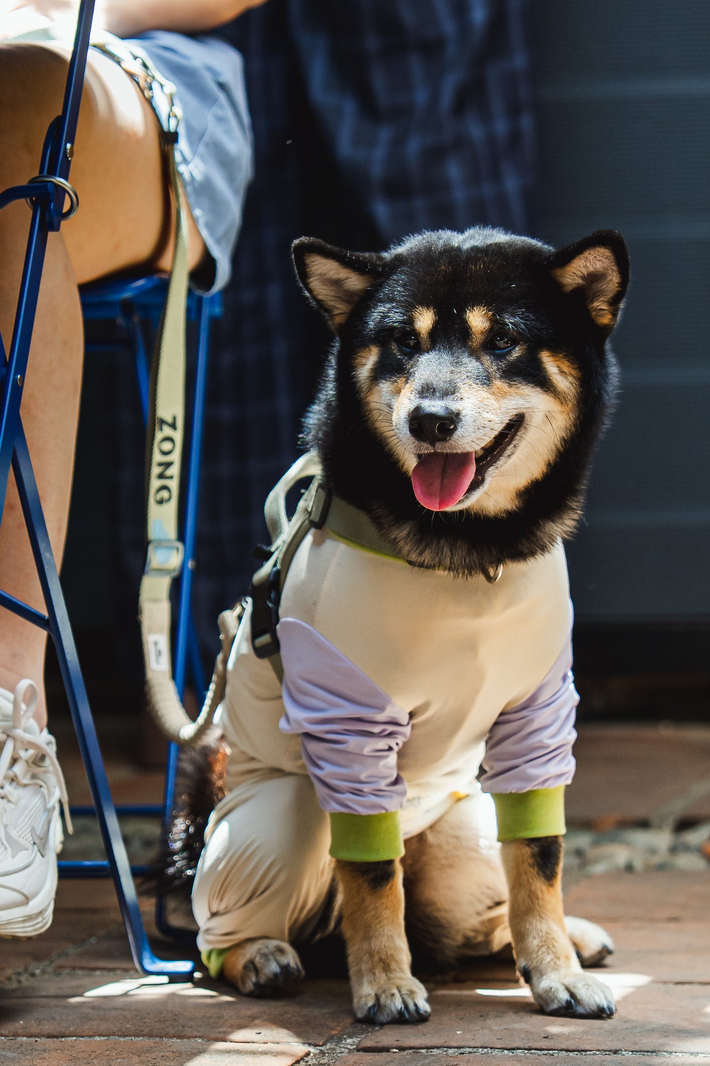 [Custom Made] Pastel Summer Four Paw Cooling Insect Protection Cloth