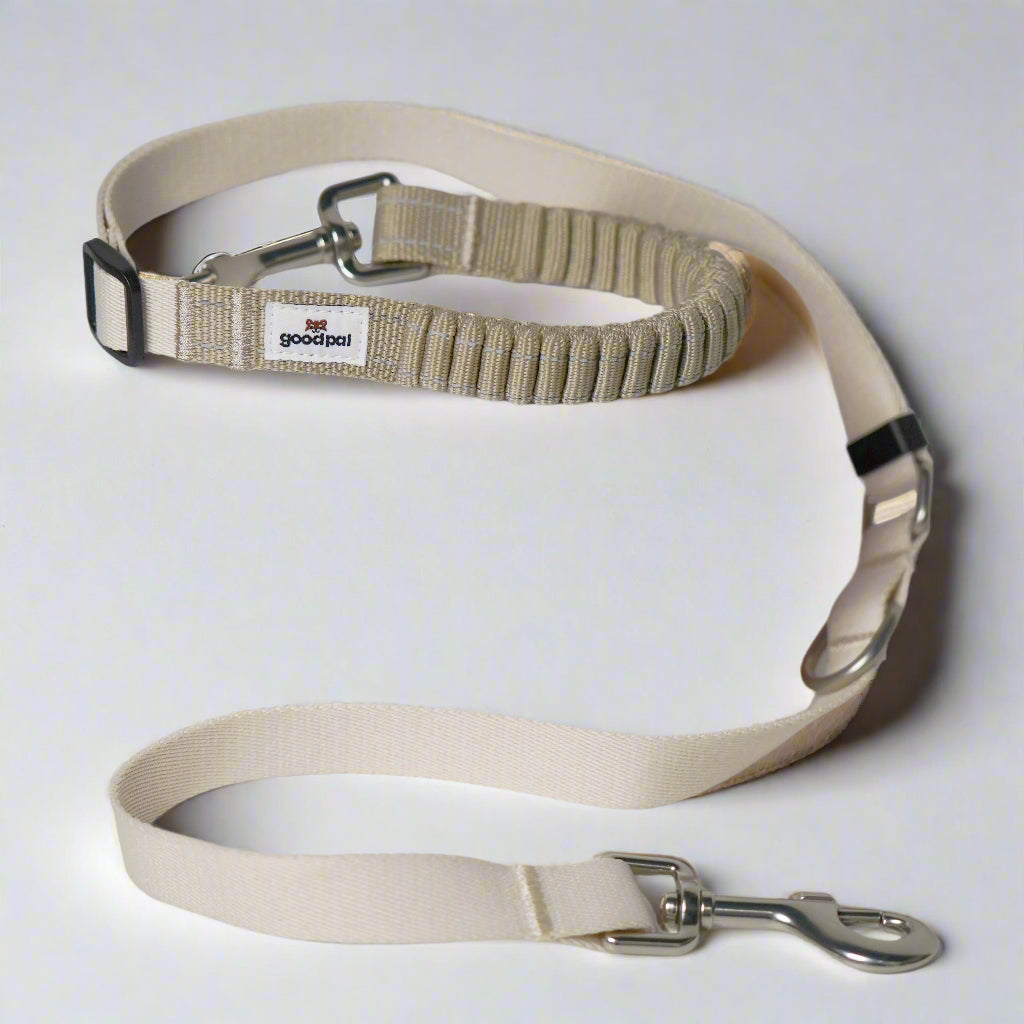 Eco-friendly Shock-absorbent Pet Leash in Oat and Olilve