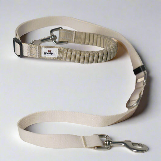 Eco-friendly Shock-absorbent Pet Leash - in OAT color
