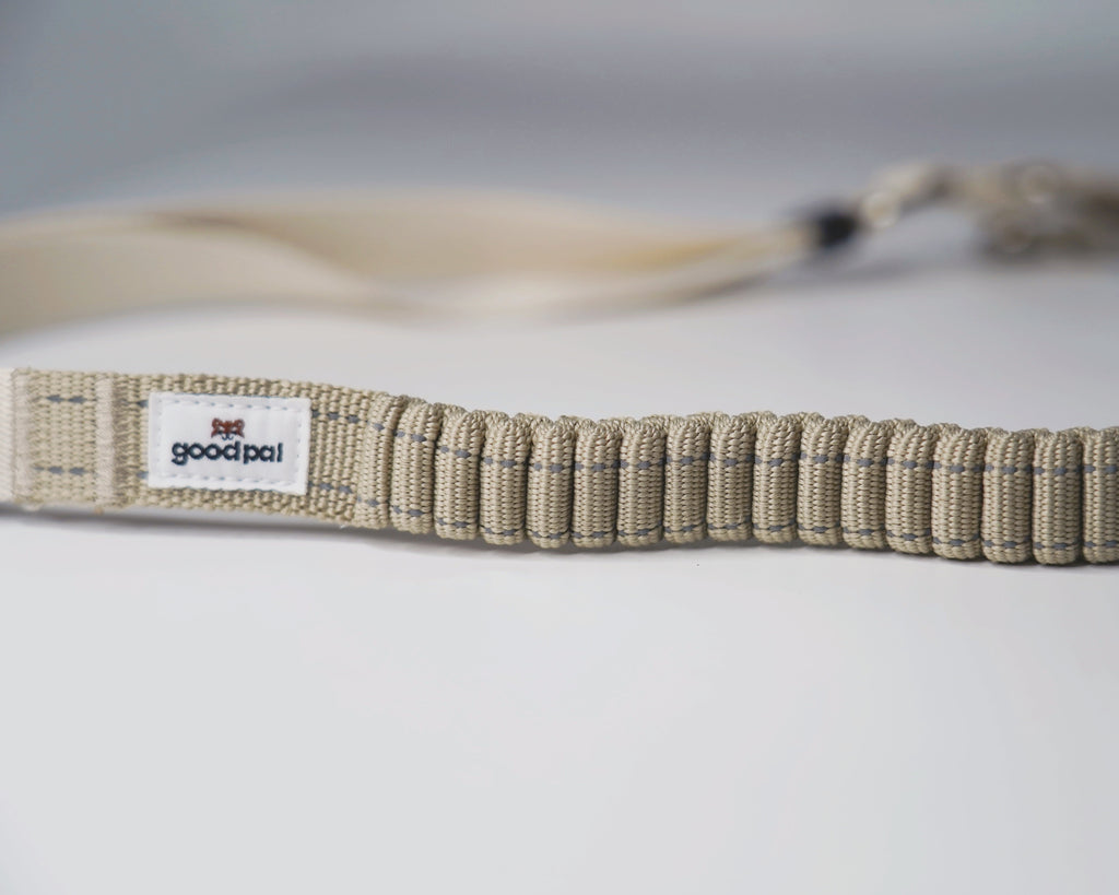 Eco-friendly Shock-absorbent Pet Leash in Oat and Olilve