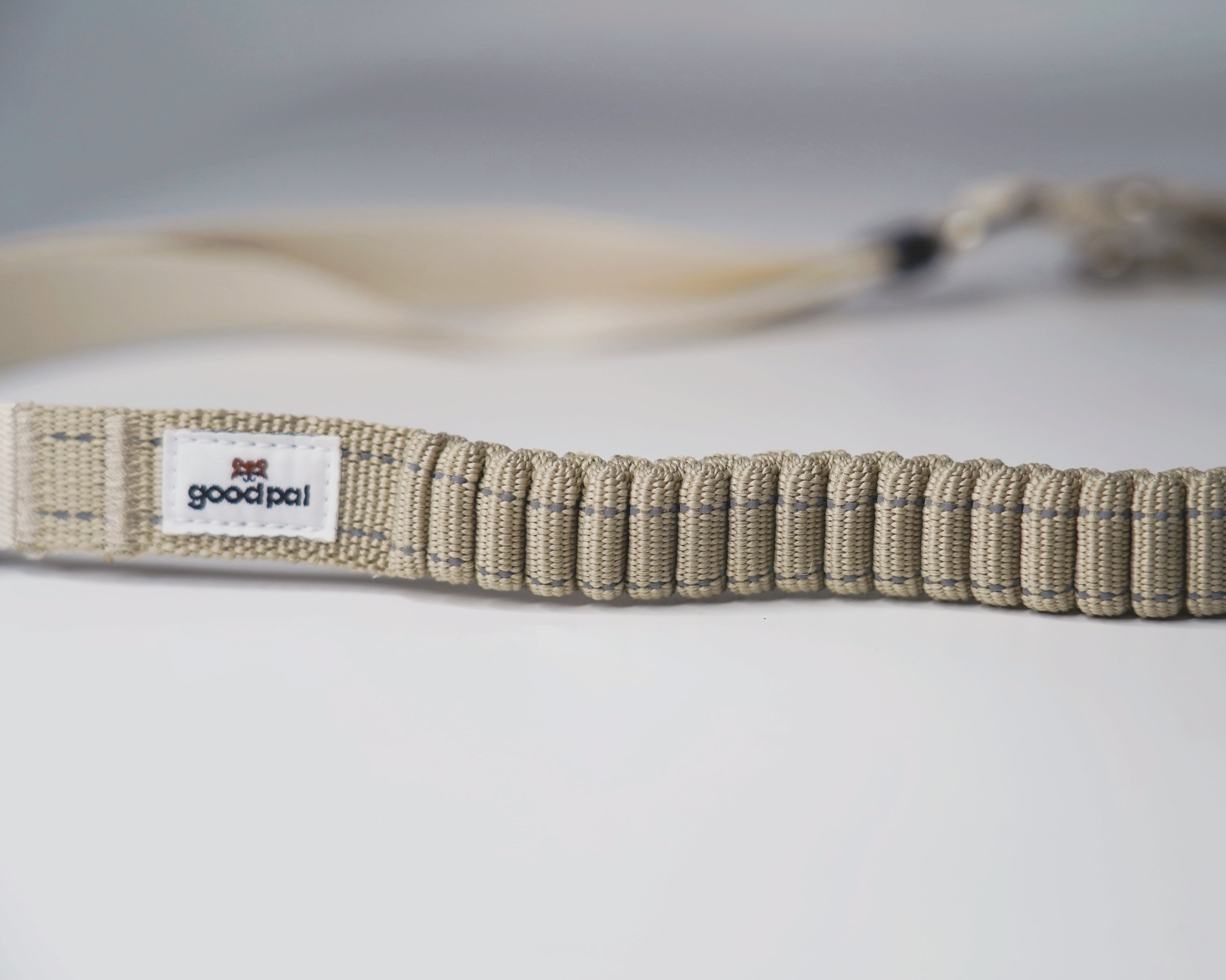 Eco-friendly Shock-absorbent Pet Leash in Oat and Olilve