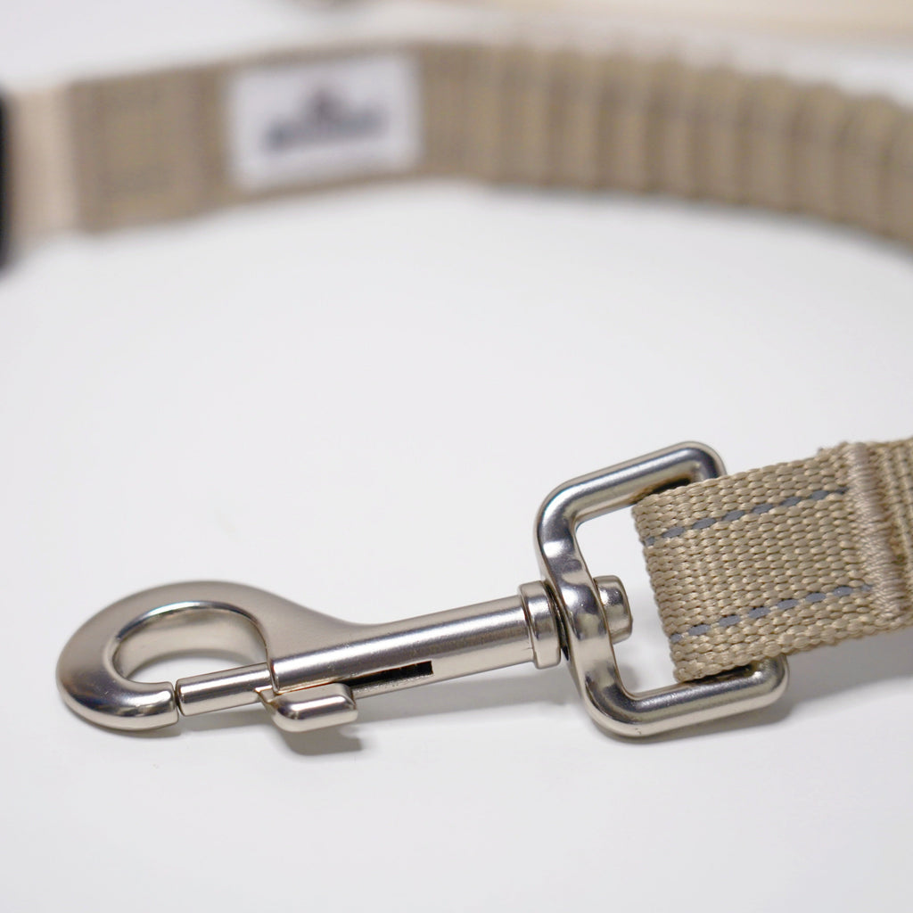 Eco-friendly Shock-absorbent Pet Leash in Oat and Olilve