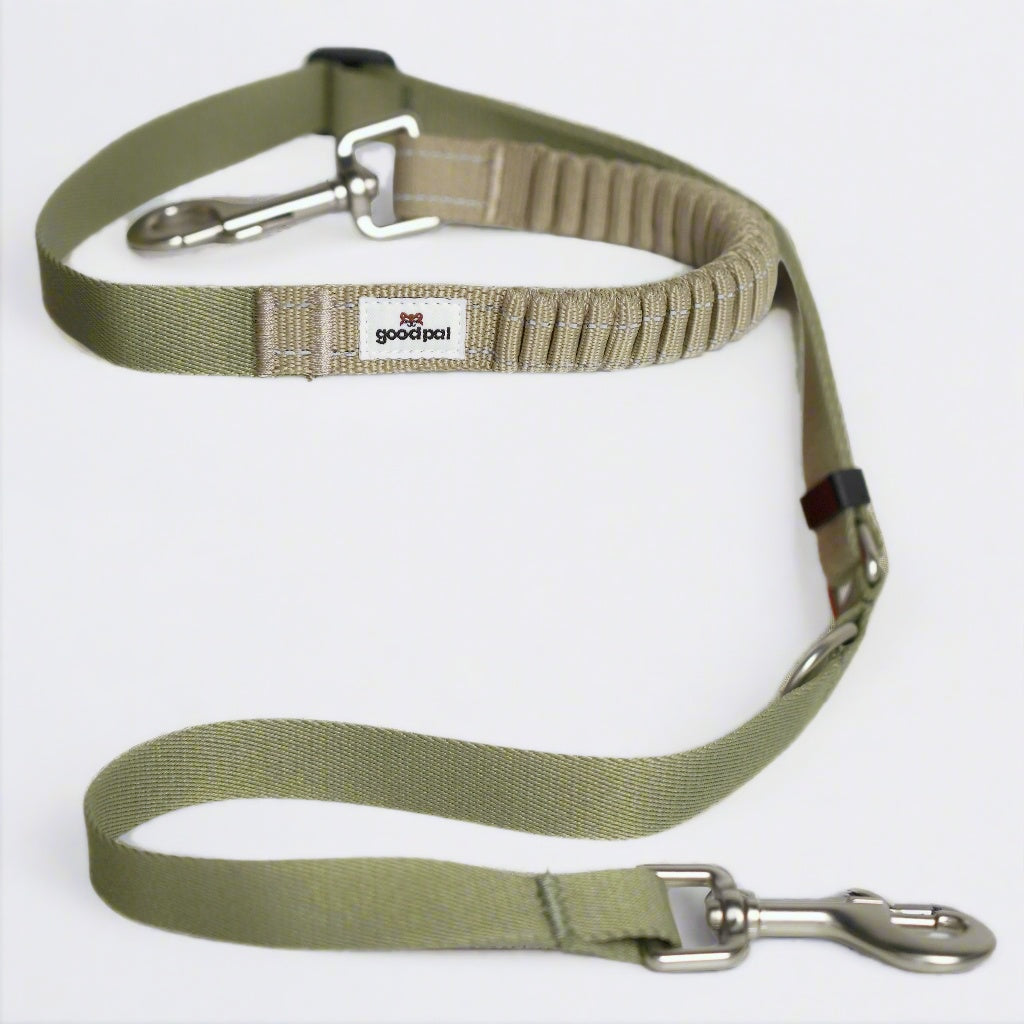 Eco-friendly Shock-absorbent Pet Leash in Oat and Olive