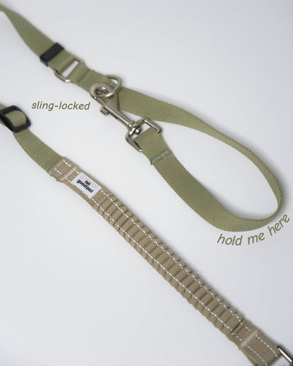Eco-friendly Shock-absorbent Pet Leash - in Olive color