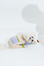[Couture] Pastel Summer Four Paw Cooling Insect Protection Cloth