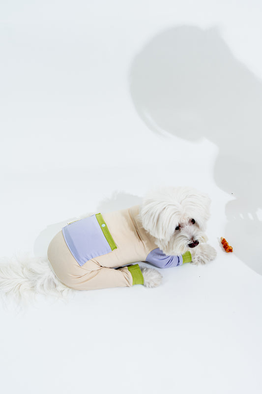 [Custom Made] Pastel Summer Four Paw Cooling Insect Protection Cloth
