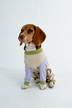 [Couture] Pastel Summer Four Paw Cooling Insect Protection Cloth
