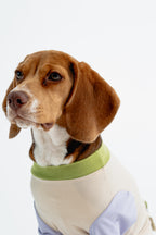 [Couture] Pastel Summer Four Paw Cooling Insect Protection Cloth