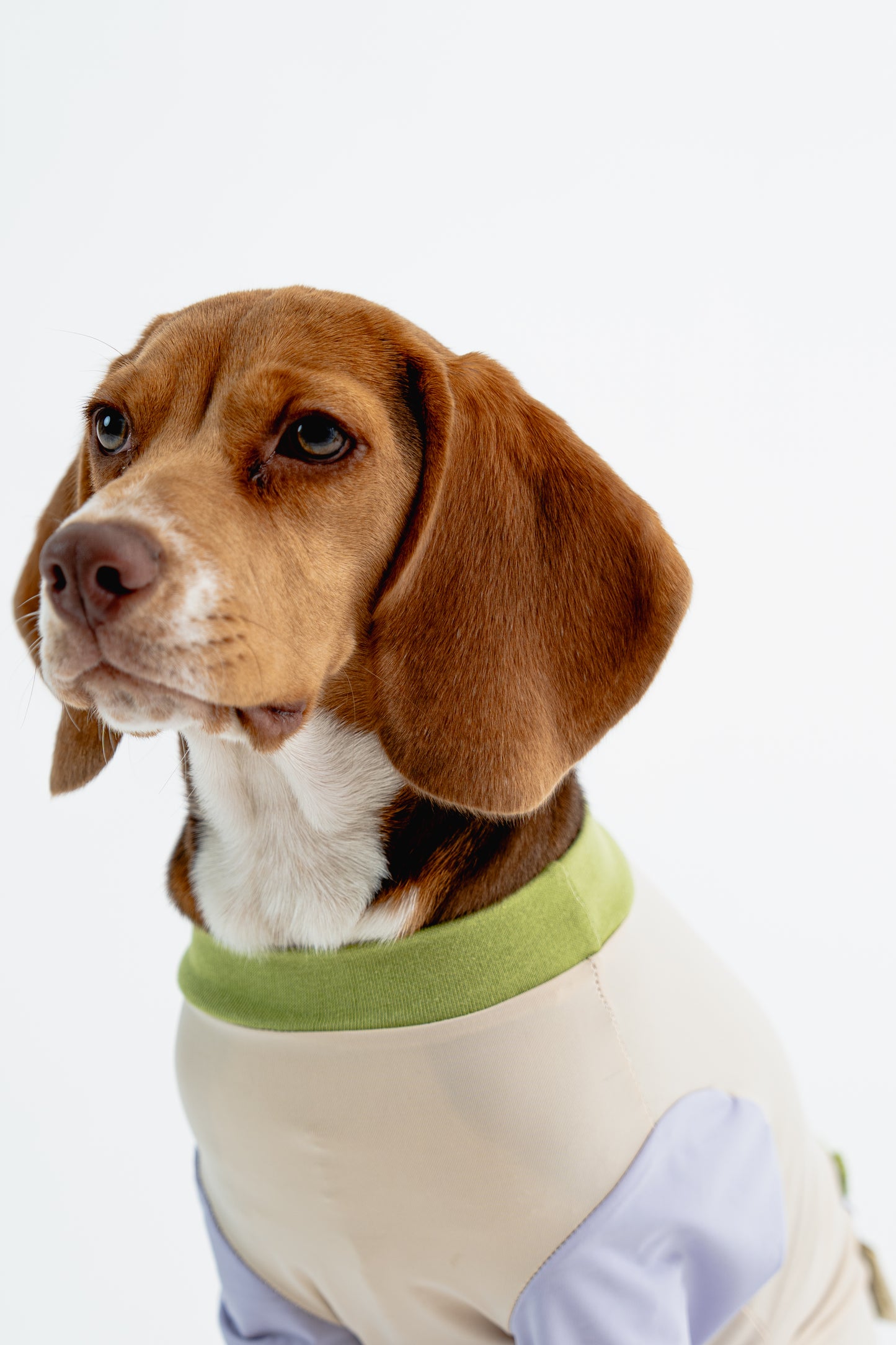 [Custom Made] Pastel Summer Four Paw Cooling Insect Protection Cloth