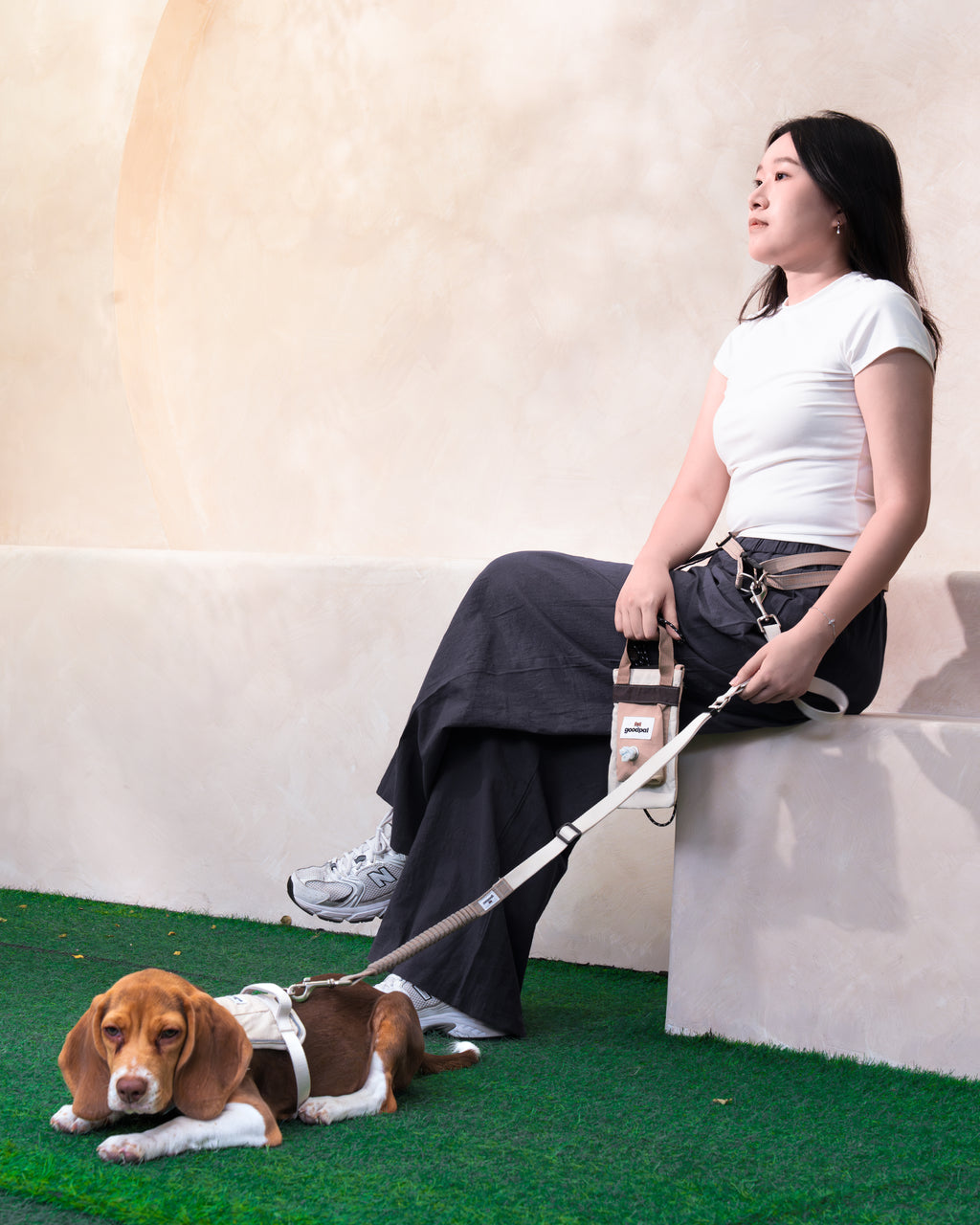 An Eco-friendly Signature Companion Set (Harness + Leash Set A)