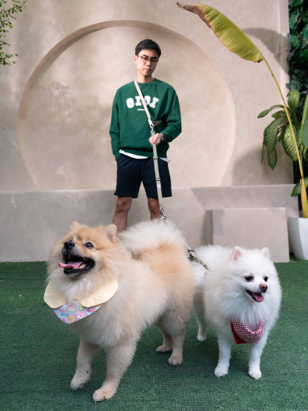 Eco-friendly Set C - Hands-free Dual Dog Control Multi-Way Leash