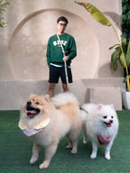 Eco-friendly Set C - Hands-free Dual Dog Control Multi-Way Leash