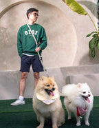 Eco-friendly Set C - Hands-free Dual Dog Control Multi-Way Leash