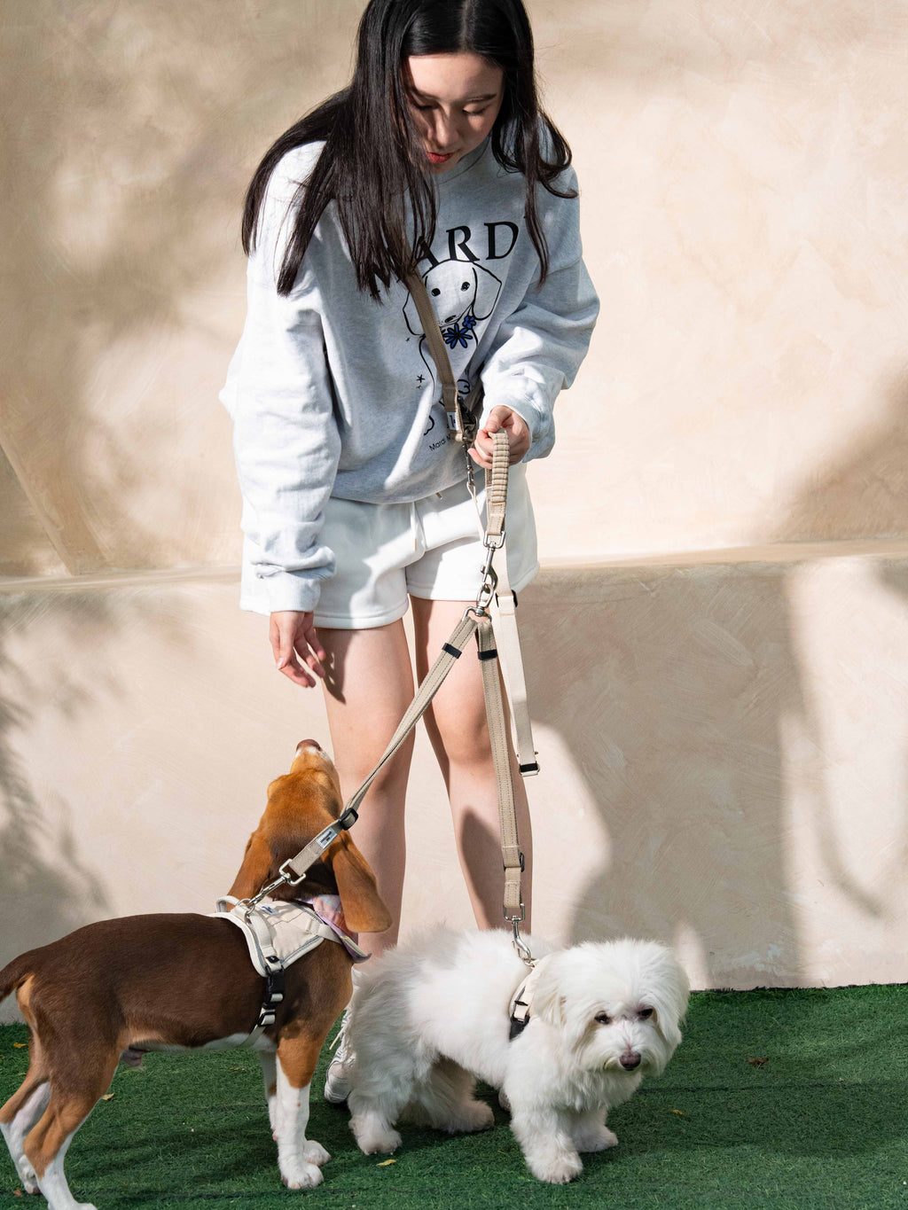 Eco-friendly Set C - Hands-free Dual Dog Control Multi-Way Leash