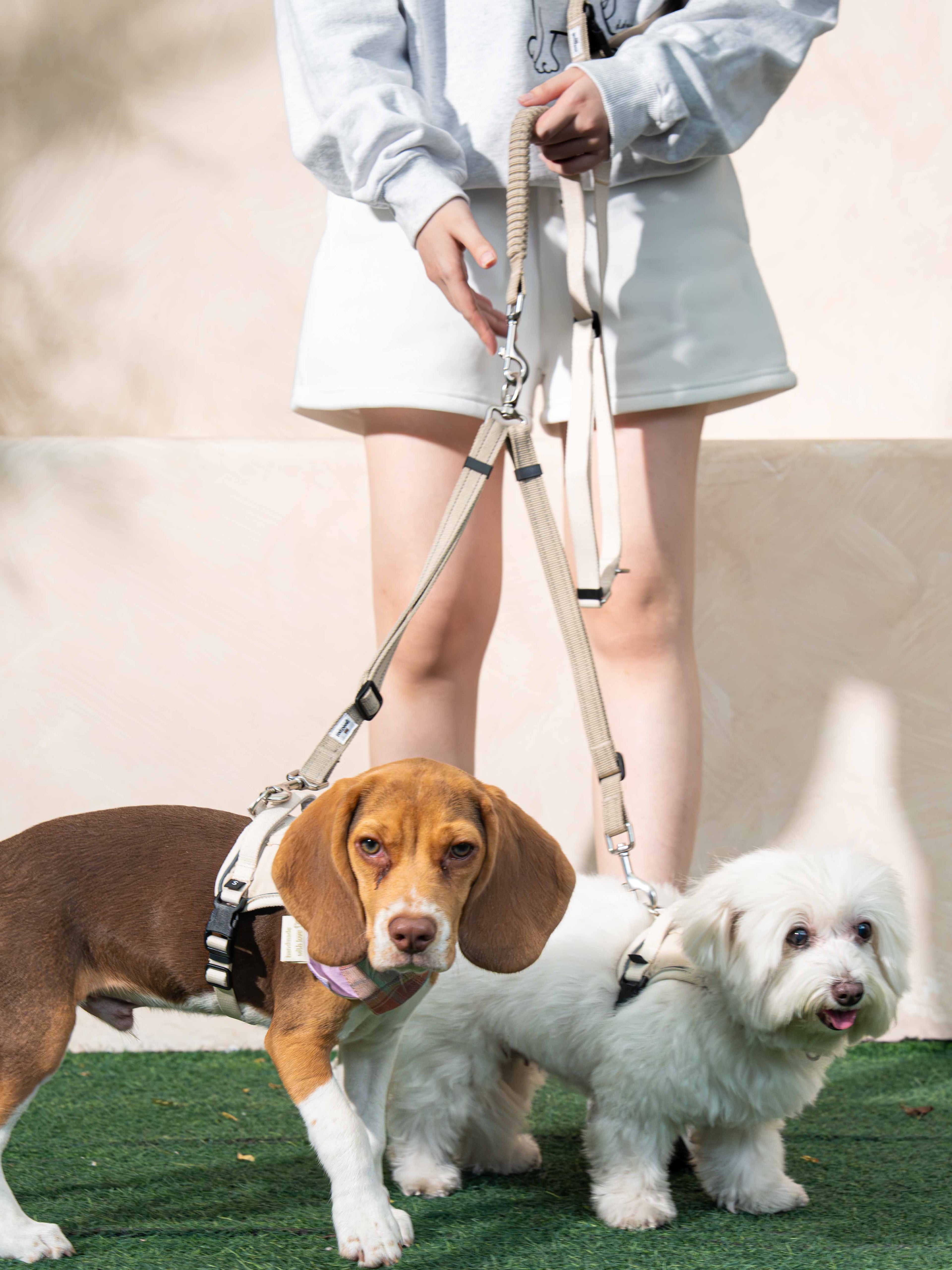 Eco-friendly Set C - Hands-free Dual Dog Control Multi-Way Leash