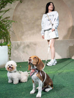 Eco-friendly Set C - Hands-free Dual Dog Control Multi-Way Leash