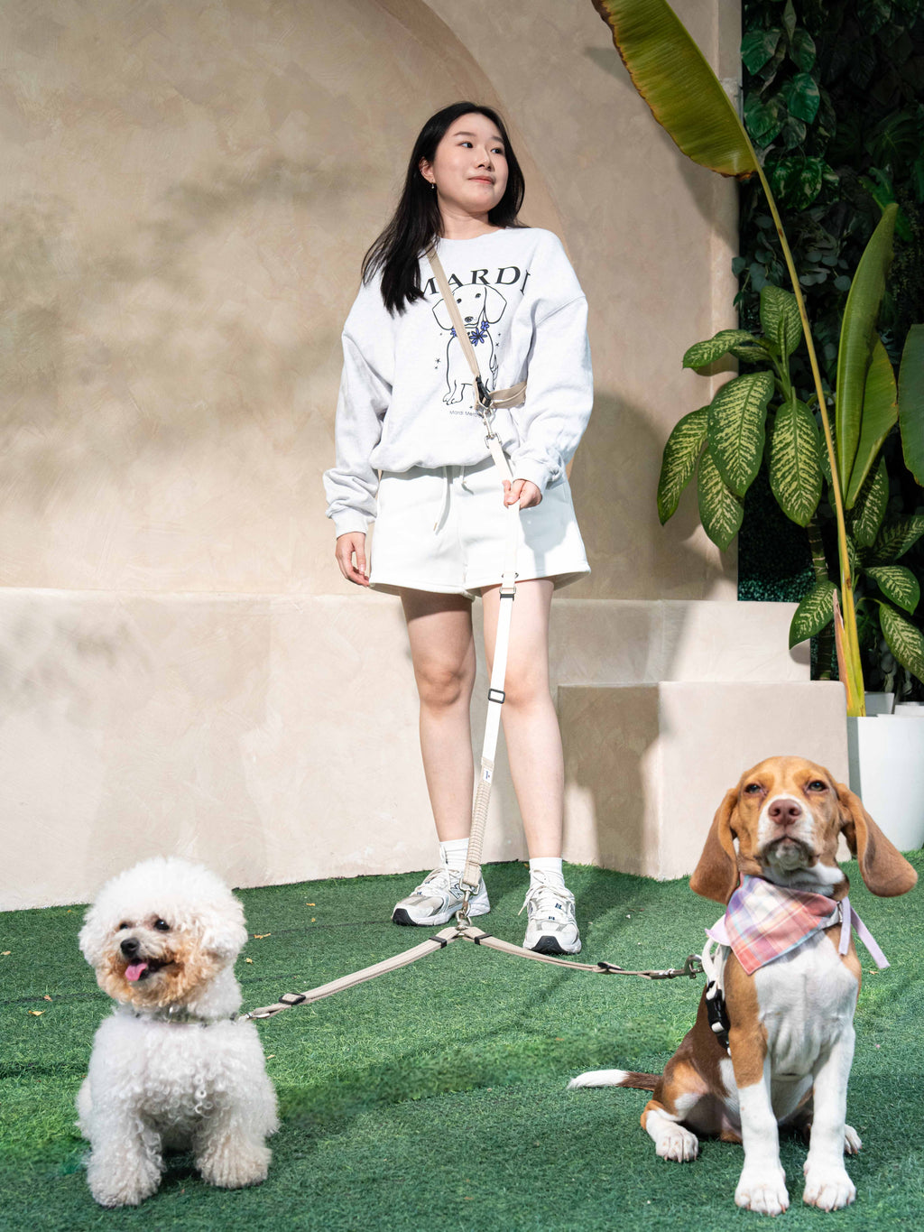 Eco-friendly Set C - Hands-free Dual Dog Control Multi-Way Leash